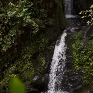 waterfalls, nature, wilderness, outdoors, woods, water, waterfalls, water, water, water, water, water